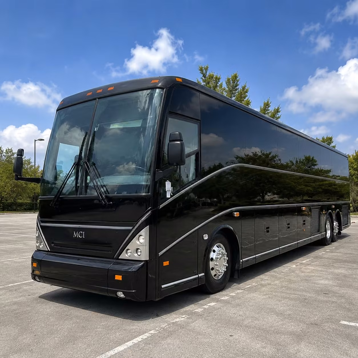 youth groups and scout troops in thornton love charter bus rentals for nature outings